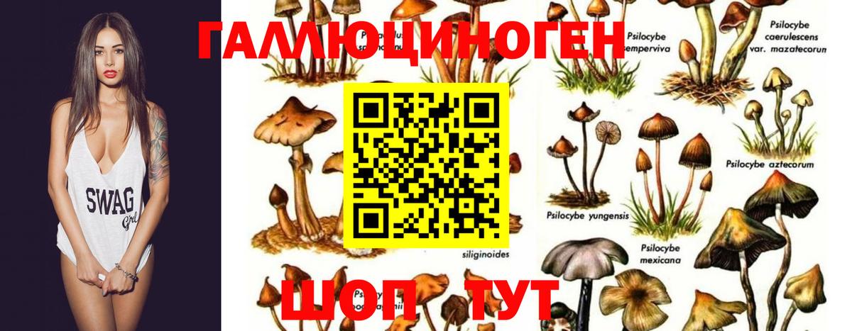 Галлюциногенные грибы ЛСД  Вход с VPN  Сертолово 